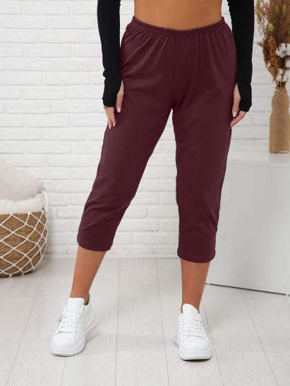 Бриджи трикотажные (01037, вишня) - фото 1