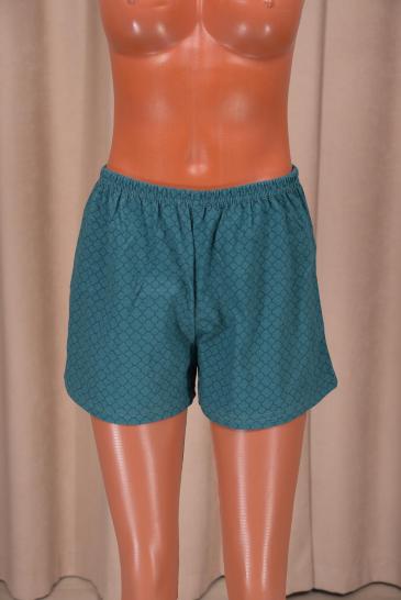 Шорты трикотажные (00754, вариант 71) - фото 1