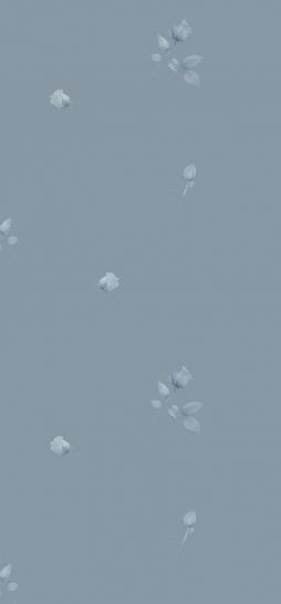 Наволочка 2559 сатин - фото 1