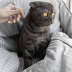 Фото отзыва